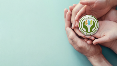 Strategic Management and Content Engineering in the Iranian Social Work Ecosystem