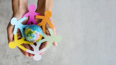 The Unfinished Professionalization of Social Work in Iran