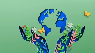 Iranian Social Workers Join Global Celebration for World Social Work Day