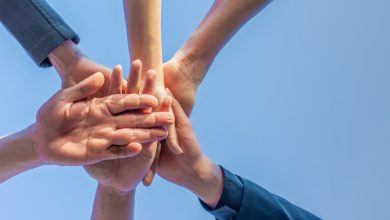 How Iraniansocialworkers.ir Became a Specialized Brand in Iranian Social Work