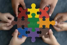 A Model of Unity: The Iranian Social Work Media Experience