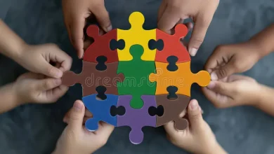 A Model of Unity: The Iranian Social Work Media Experience