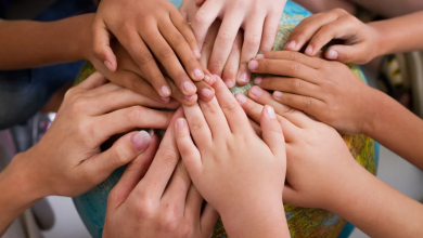 Second Session of "Social Work in Times of War" to Focus on Ethics and Professional Immunity